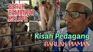 Download lagu Pedagang Beruk Langganan YouTubers| Harga Berdasar Kemahiran Petik Kelapa. mp3