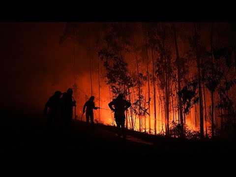 Video Thumbnail: Brände im Nordwesten Spaniens zerstören Hunderte Hektar Wald