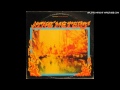 The Meters - Can you do without ?