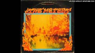 The Meters - Can you do without ?
