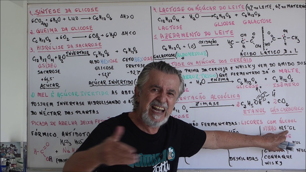 Aula 480 – Lactose, Azedamento do Leite, Maltose e Bebidas Etílicas