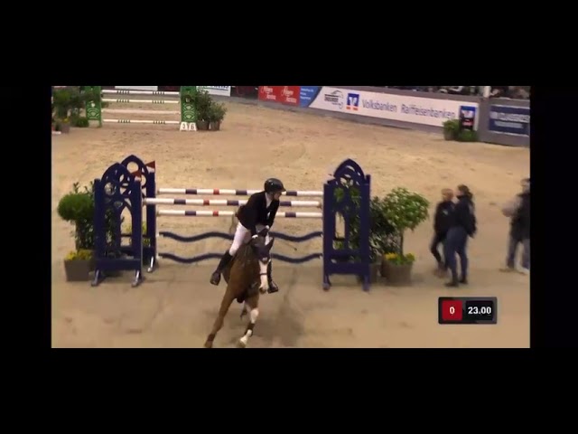 The half-brother of this embryo is the CSI 1.55m approved Stallion Madness with rider Hannes Ahlmann.