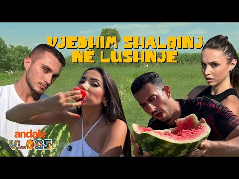 Vjedhim dhe Shesim Shalqinj në Lushnjë | ANDALE VLOGS