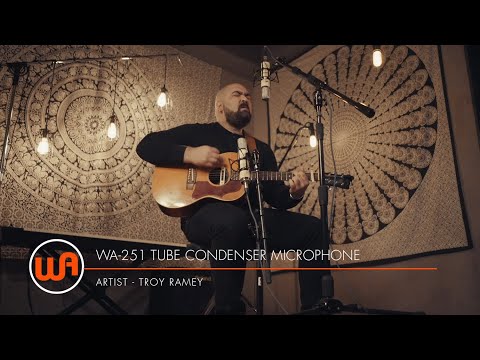 Микрофон WARM AUDIO WA-251