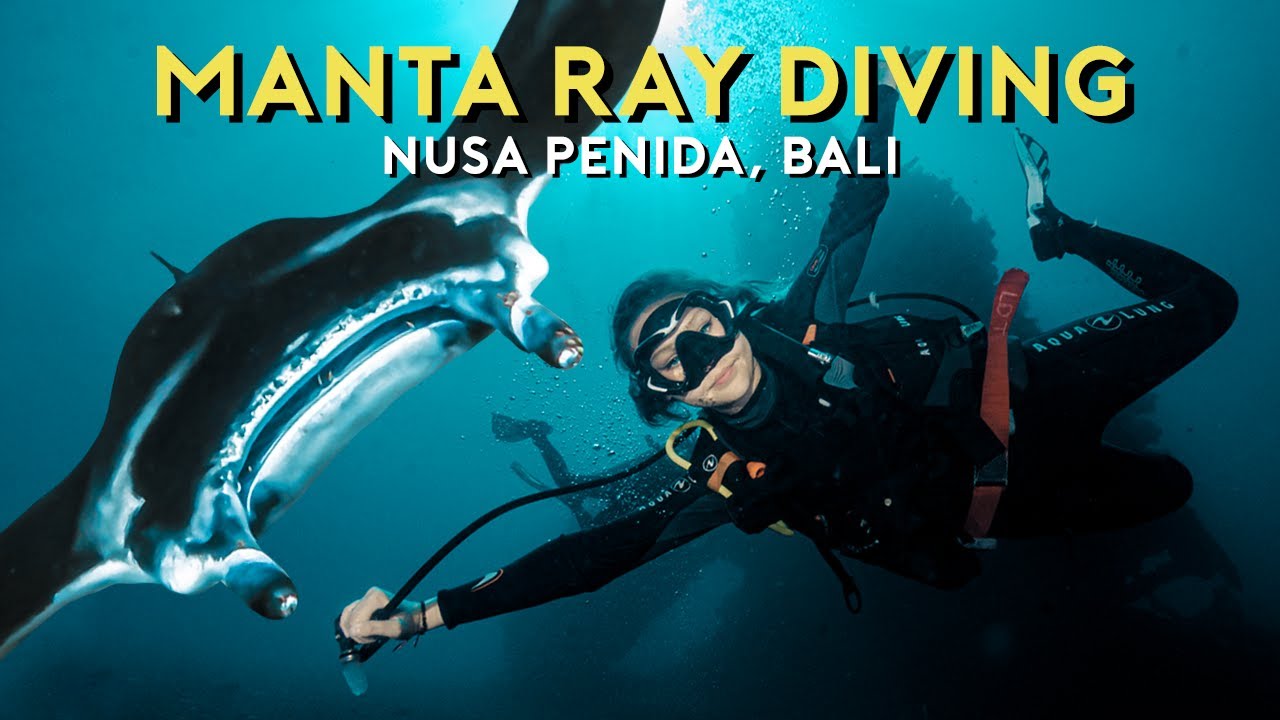 Experience the thrill of diving at the enchanting Manta Point.