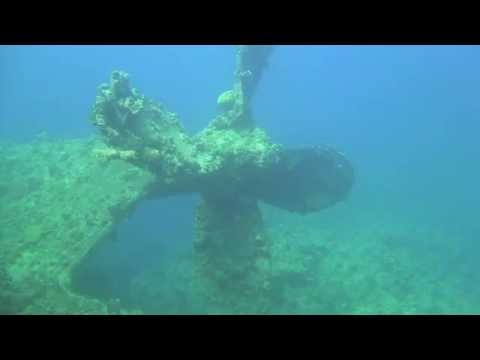 Tauchsafari Sudan mit Royal Evolution