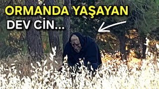 ISSIZ ORMANDA YAŞAYAN UZUN KOLLU CİN KABİLESİ...