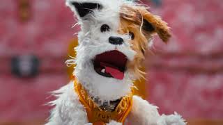 Good 'n' Fun Game Day - Let Dogs Dog