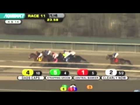Watch Dads Caps (Discreet Cat) win the G1 Carter H at Aqueduct, USA, 2014