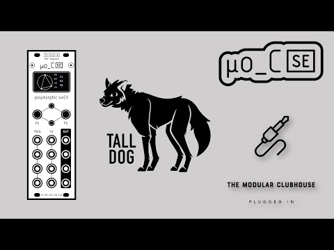 Episode 62: Tall Dog μo_C SE | Eurorack Micro Ornament & Crime Special Edition | How to Flash | uo_C