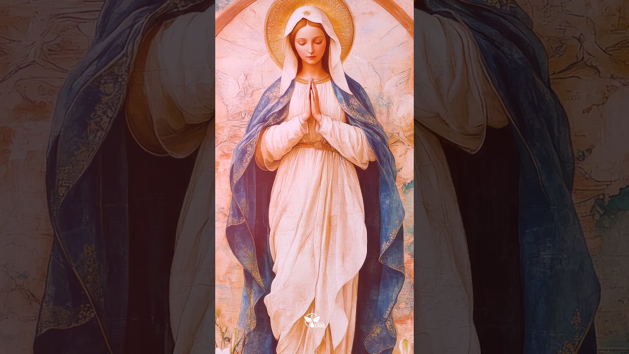 Video do produto Bíblia Sagrada - Capa Feminina - Lírio - 6ª Edição