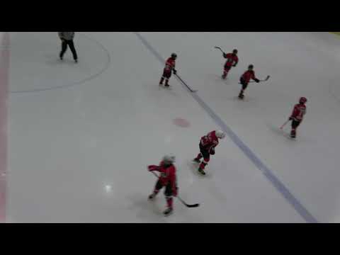 11.11.2019  E1 HC VIPERS1 0 : 1 E1 HC VIPERS2 (2/2)