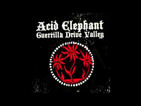 Acid Elephant - Mind Over Matter