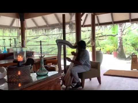 Beauty and the Beast live cover @ Taj exotica resort - Saif Saippe -