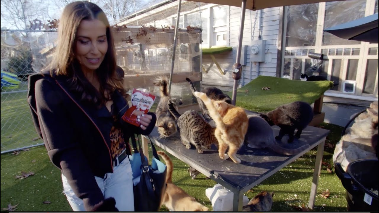 Chris Arsenault gives Christine Montanti a tour of his Happy Cat Sanctuary for Social Life Magazine