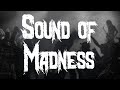 Shinedown Sound Of Madness Lyrics