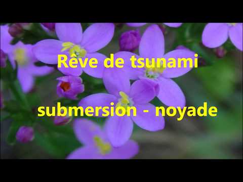 download lagu mp3 mp4 Reve De Vague Tsunami, download lagu Reve De Vague Tsunami gratis, unduh video klip Reve De Vague Tsunami