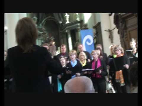 Krauklīts Sēž Ozolā