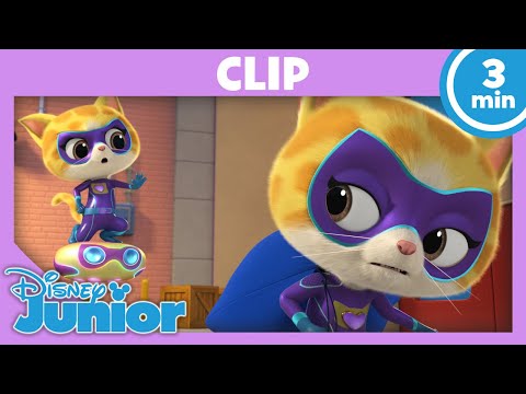 ✨ Der falsche Sparks! | SuperKitties