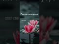 Malayali Penne Ninte Mukhasreeyil Malayalam Song Whatsapp Status Karyasthan Movie Berny Ignatius