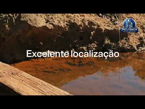 Sítio a venda em Albertina MG com 25mil pés de café 