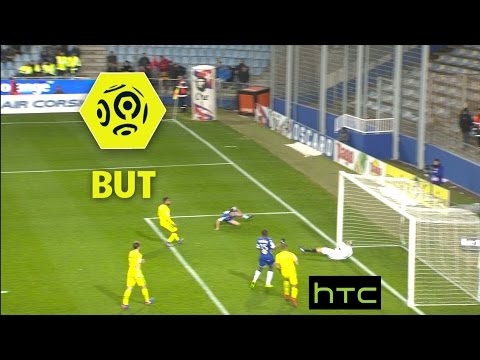 But Gaël DANIC (69') / SC Bastia - FC Nantes (2-2) -  / 2016-17