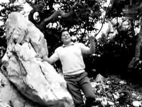 Andrej Blumauer - Kukavica