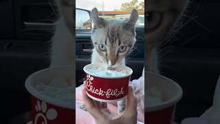 He Always Hisses At Fruit 😂