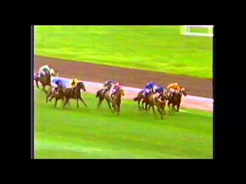 1988 VRC Ascot Vale Stakes _ Zeditave
