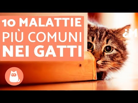 Giunto gonfiò un mignolo Pomata per dolori articolari tedesco