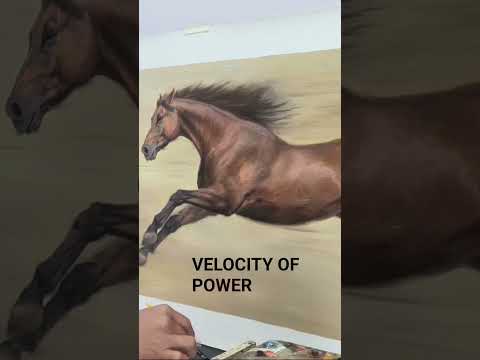Video 2