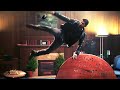 Scott Adkins Volleys A Grenade Accident Man CLIP
