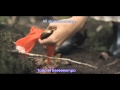 Dresses - Blew my mind Official video (Lyrics/ Sub ...