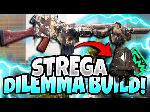 the PERFECT DILEMMA BUILD! #TheDivision2