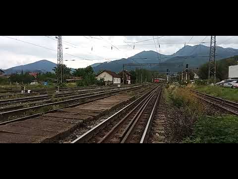 IR 1732 CU EA1 724 TRICOLORA