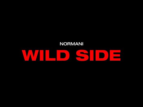 Normani - Wild Side - Instrumental with Background Vocals