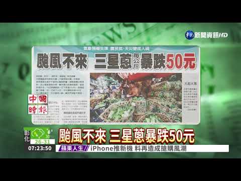 颱風不來 三星蔥暴跌50元