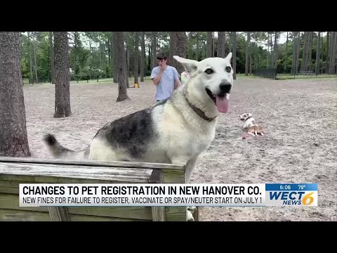 New Hanover County Animal Services