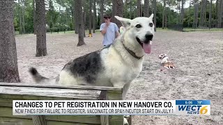 Pet registration fee increase in New Hanover County