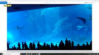なんとなく沖縄から戻って即生配信