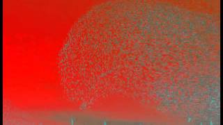 On The Rise... Ade Shaw And Rod Goodway.