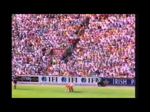 1992 Limerick vs Waterford & Limerick vs Cork Munster Hurling Championship