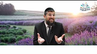 החידה המפתיעה | דניאל | פרק ו  - 5 | הרב אליהו עמר (הרב אליהו עמר) - התמונה מוצגת ישירות מתוך אתר האינטרנט יוטיוב. זכויות היוצרים בתמונה שייכות ליוצרה. קישור קרדיט למקור התוכן נמצא בתוך דף הסרטון