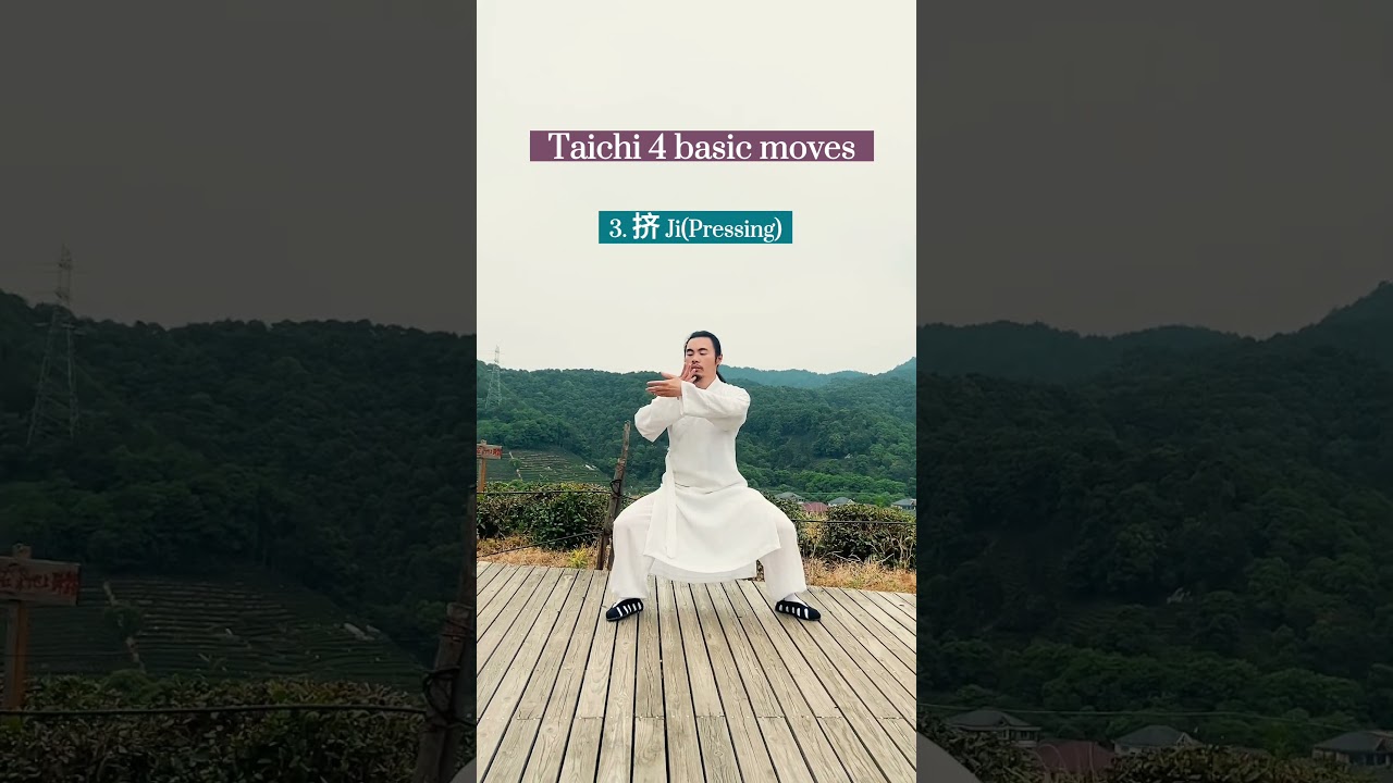 Taichi 4 basic moves