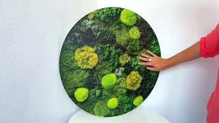 Drevený obraz na stenu - Machy