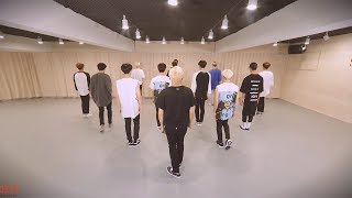 SEVENTEEN (세븐틴) - Crazy in Love Dance Practice (Mirrored)