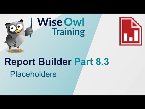 SSRS Report Builder Part 8.3 - Placeholders