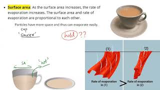 Factors Affecting Evaporation || Class 9 CBSE || Matter In Our Surroundings