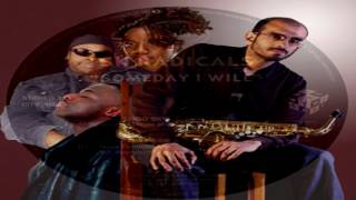 SK Radicals  -   "Someday I Will"   (Nova Fronteira Mix)