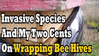 Invasive Species and My Two Cents On Wrapping Bee Hives